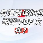 有道翻译如何翻译 PDF 文件？