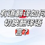 有道翻译如何切换翻译语言？
