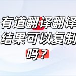 有道翻译翻译结果可以复制吗？