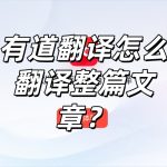 有道翻译怎么翻译整篇文章？