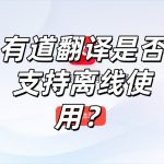 有道翻译是否支持离线使用？
