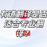 有道翻译是否适合专业翻译？